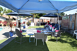 MOMENTUM - MULTI-VENDOR